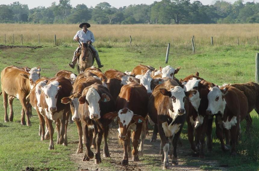 Milei busca eliminar la Ley del Peoacuten Rural- No va a quedar otra que salir a la calle