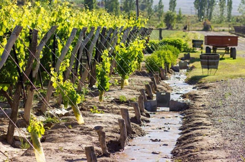 Mientras niega caudal para La Pampa Mendoza pierde el 86-en-porciento- del agua por riego ineficiente