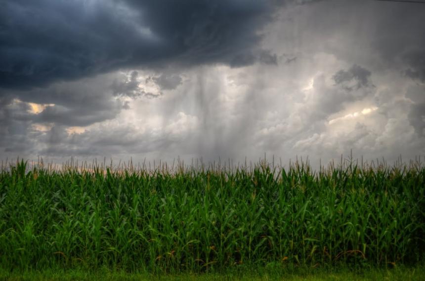 Buenos registros de lluvias en el oeste y norte provincial