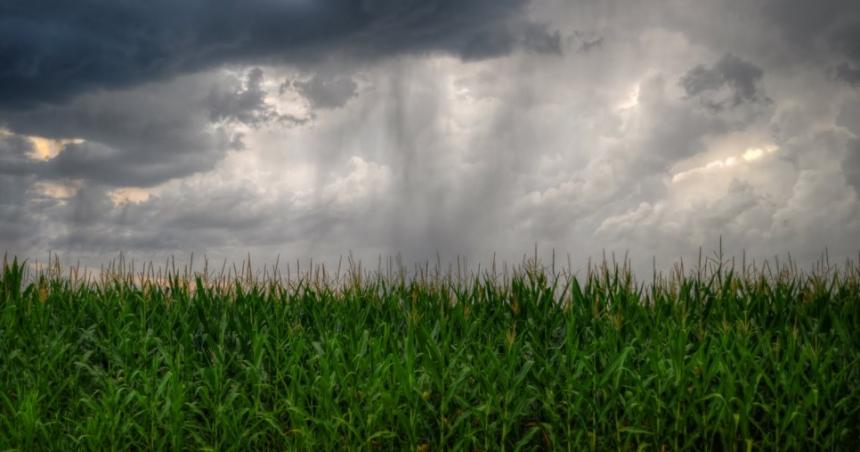 Buenos registros de lluvias en el oeste y norte provincial