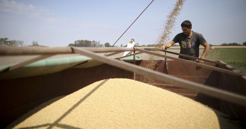 La caiacuteda de Los Grobo- Se derrumba el precio de la soja y empuja los pedidos de devaluacioacuten