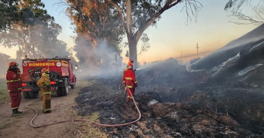 Cuatro dotaciones de bomberos trabajaron para controlar un incendio de aacuterboles en Dorila