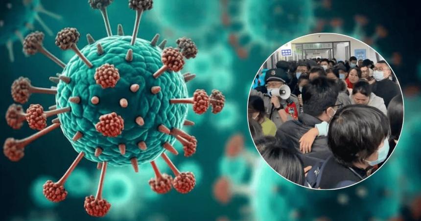 iquestQueacute es el metapneumovirus El virus respiratorio que alarma a China y pone al mundo en alerta