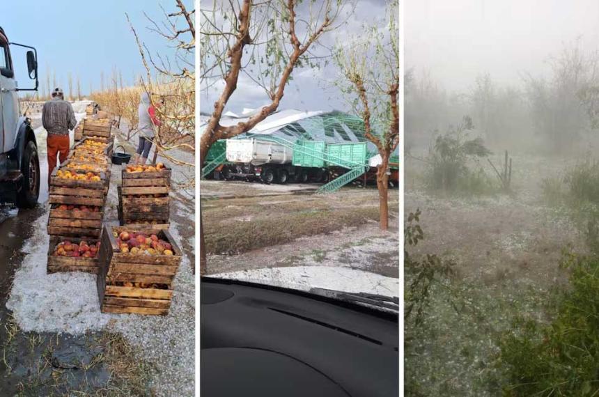 Nunca vi nada igual- el drama de productores afectados por la tormenta en San Rafael