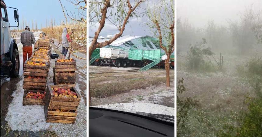 Nunca vi nada igual- el drama de productores afectados por la tormenta en San Rafael