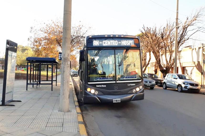 El transporte urbano de pasajeros resentido por renovacioacuten de carroceriacutea de unidades