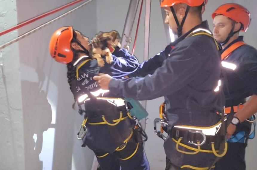 Bomberos voluntarios rescataron un cachorro que cayoacute a un pozo ciego de 8 metros