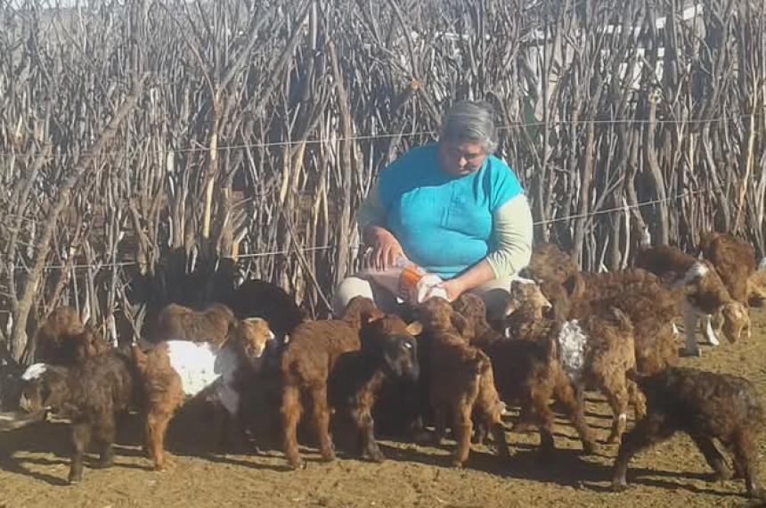 Pensamientos de una puestera en el oeste pampeano