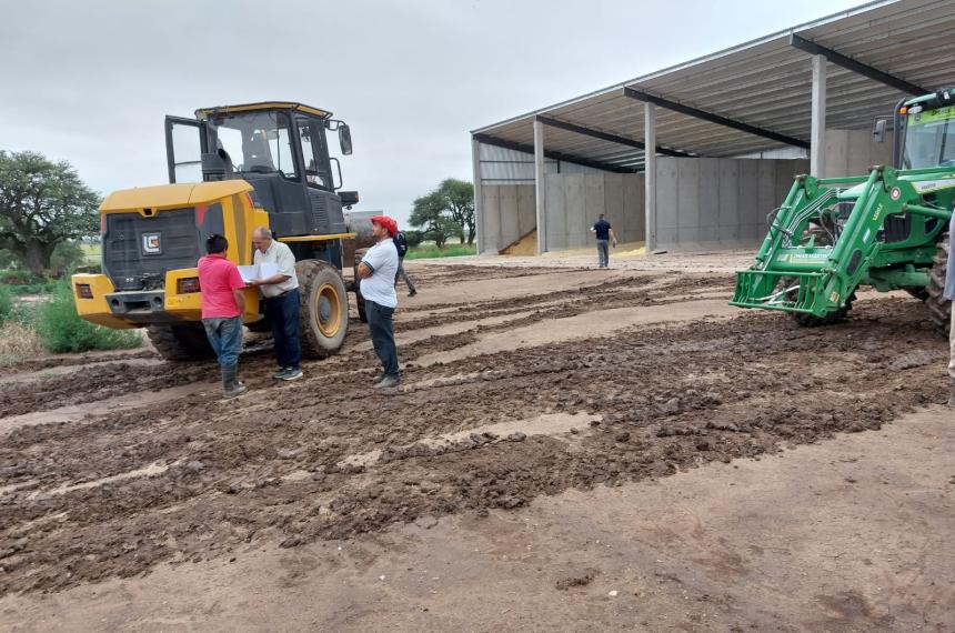 Detectan trabajo informal en un feed lot en Winifreda