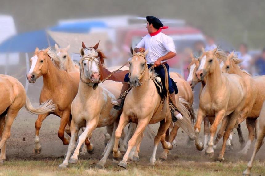 Fin de semana de Caballo y Tradicioacuten en Ingeniero Luiggi