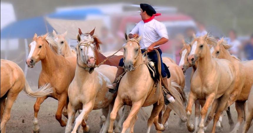 Fin de semana de Caballo y Tradicioacuten en Ingeniero Luiggi