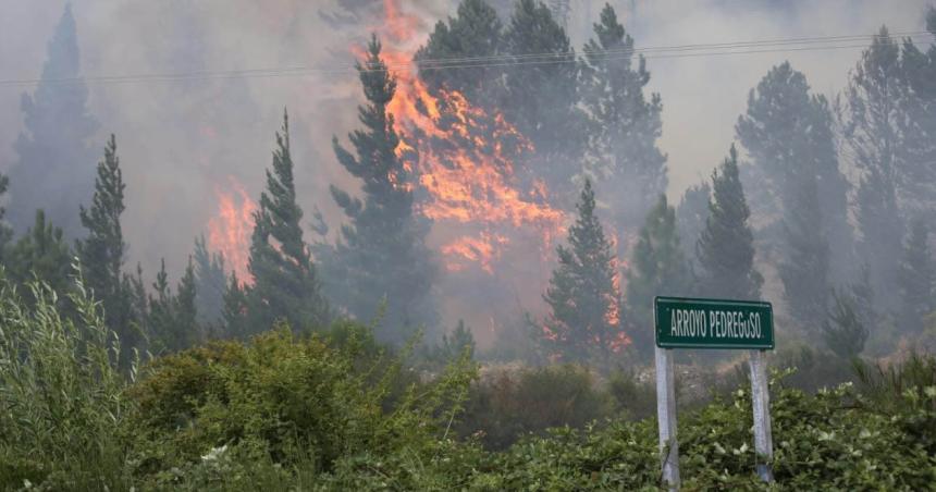 Incendios en Epuyeacuten- Sabemos coacutemo se inicioacute