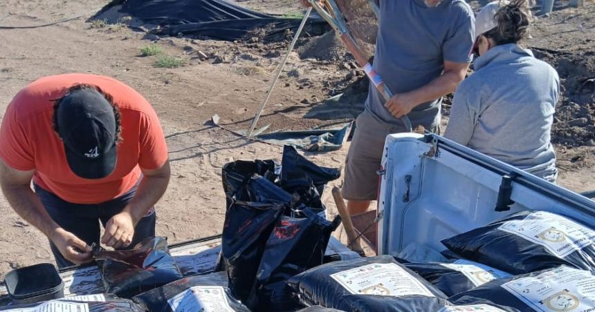 Producen abonos orgaacutenicos a partir de guano caprino en Algarrobo del Aacuteguila