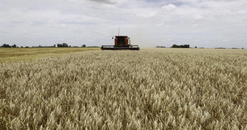 Anunciaron una rebaja temporal de retenciones y las eliminaraacuten para economiacuteas regionales