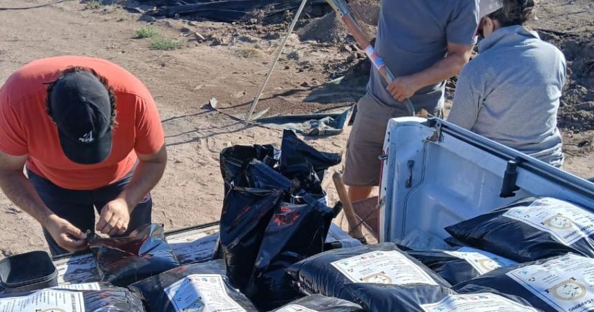 En Algarrobo del Aacuteguila producen abonos orgaacutenicos a partir de guano caprino 