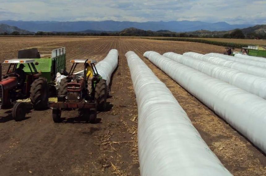 Un respiro para el Agro- lluvias y reduccioacuten temporal de retenciones