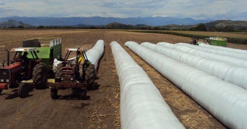 Un respiro para el Agro- lluvias y reduccioacuten temporal de retenciones