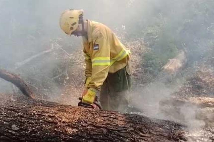 Peligro extremo de nuevos incendios en la Patagonia