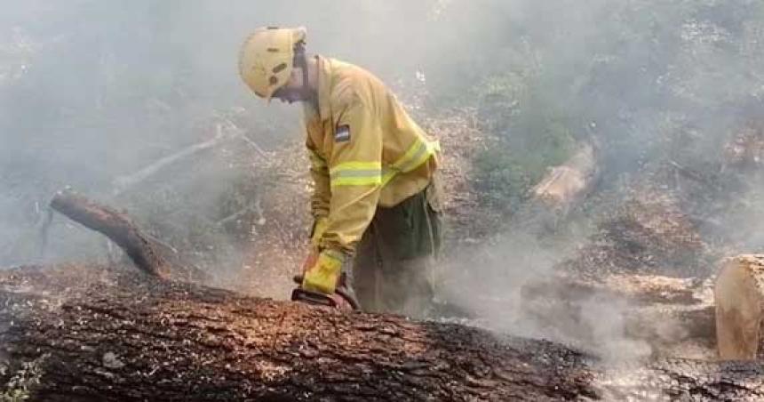 Peligro extremo de nuevos incendios en la Patagonia