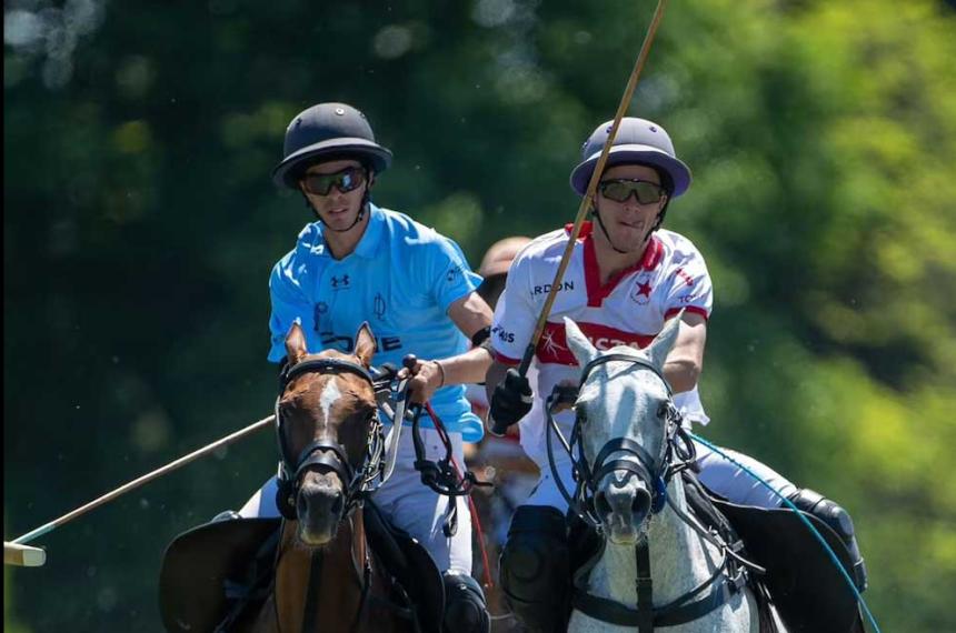 Por primera vez en el mundo nacieron caballos editados geneacuteticamente en Argentina