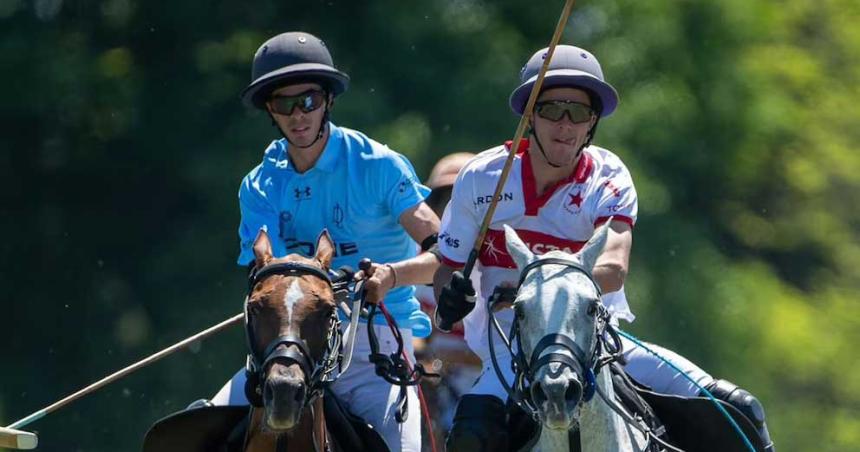 Por primera vez en el mundo nacieron caballos editados geneacuteticamente en Argentina