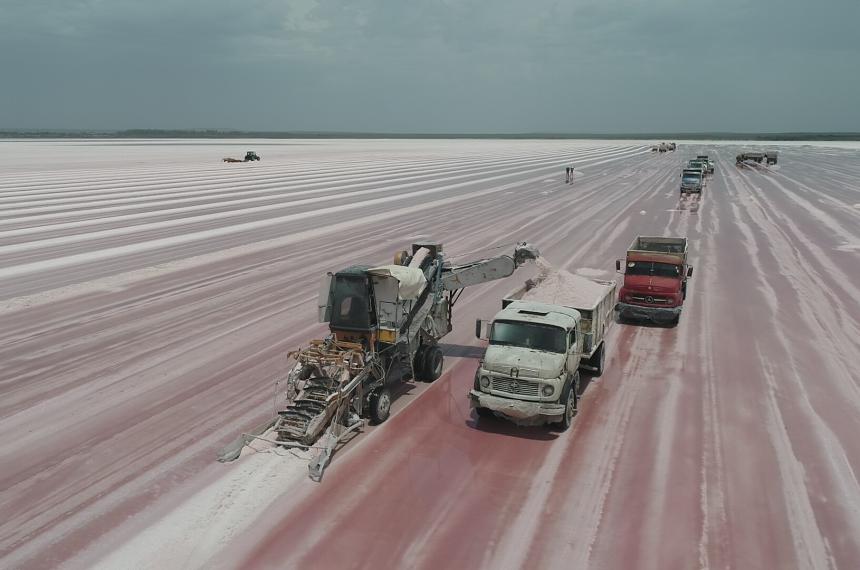 Comenzoacute la cosecha en ocho salinas pampeanas