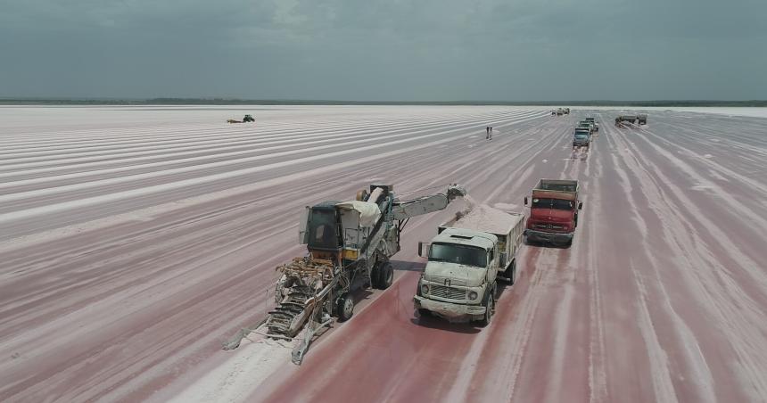 Comenzoacute la cosecha en ocho salinas pampeanas