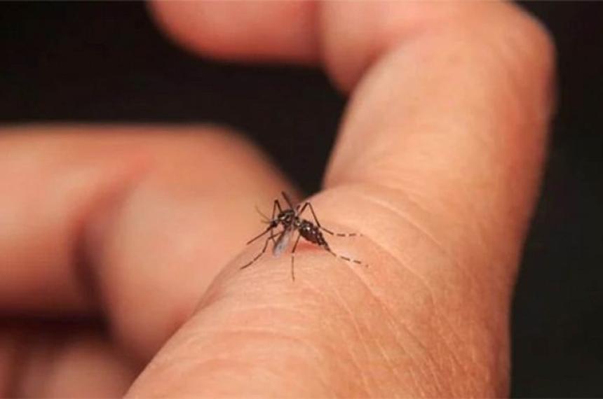 Confirman nuevo caso de dengue en General Pico