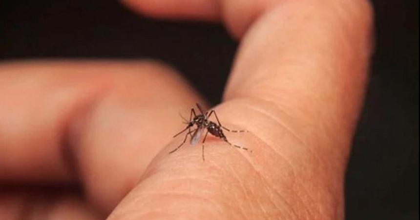 Confirman nuevo caso de dengue en General Pico