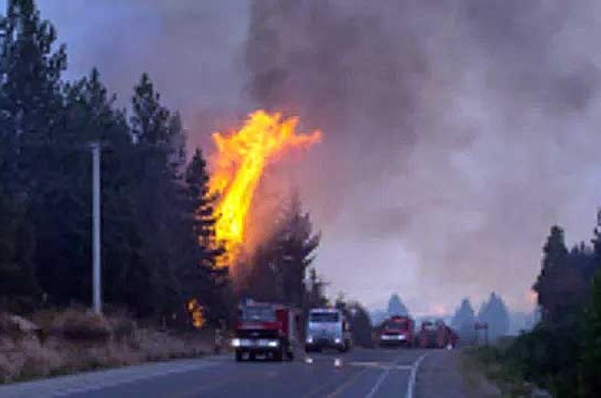 Detuvieron a un nuevo sospechoso por los incendios en El Bolsoacuten