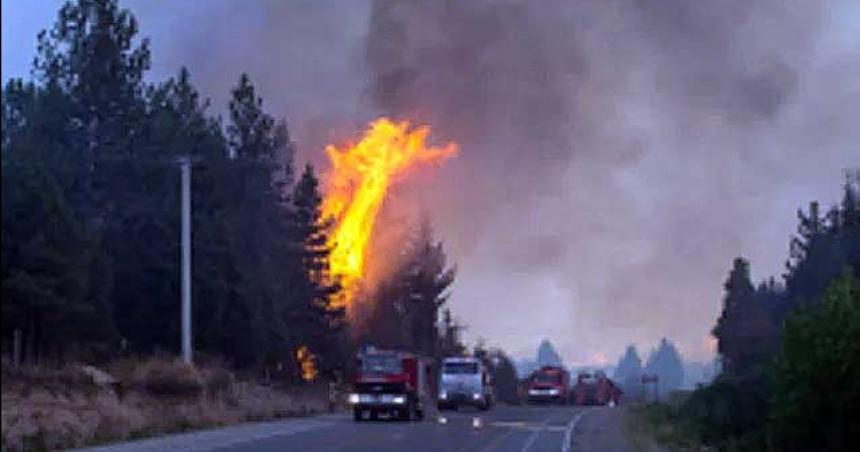 Detuvieron a un nuevo sospechoso por los incendios en El Bolsoacuten