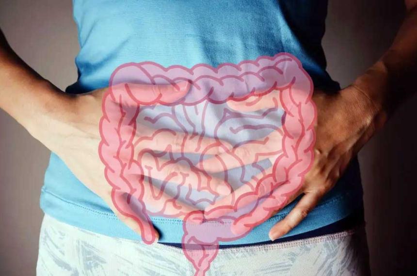 El aacutecido graso olvidado- por queacute el aacutecido butiacuterico es esencial para tu salud intestinal