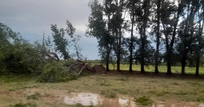 Temporal de viento lluvia y granizo afectoacute a 25 de Mayo y Pueleacuten