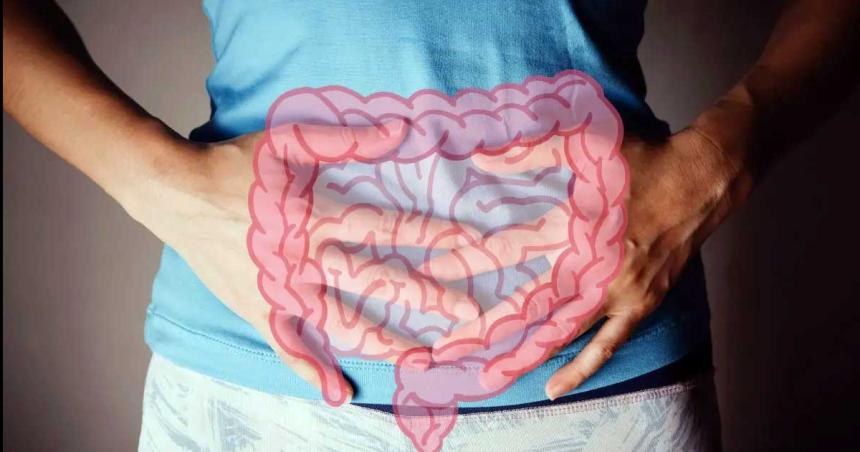 El aacutecido graso olvidado- por queacute el aacutecido butiacuterico es esencial para tu salud intestinal