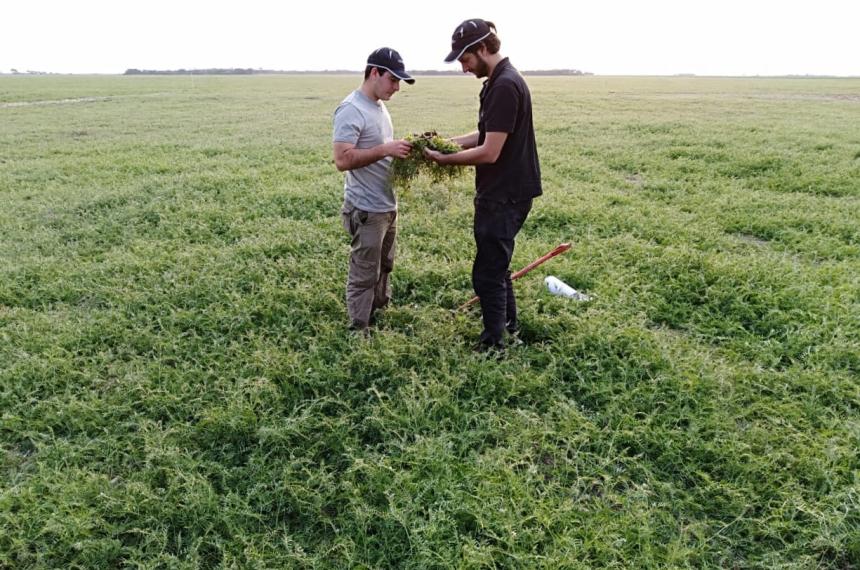 Soja energiacutea solar y mineriacutea invisible- el valor oculto del campo argentino 