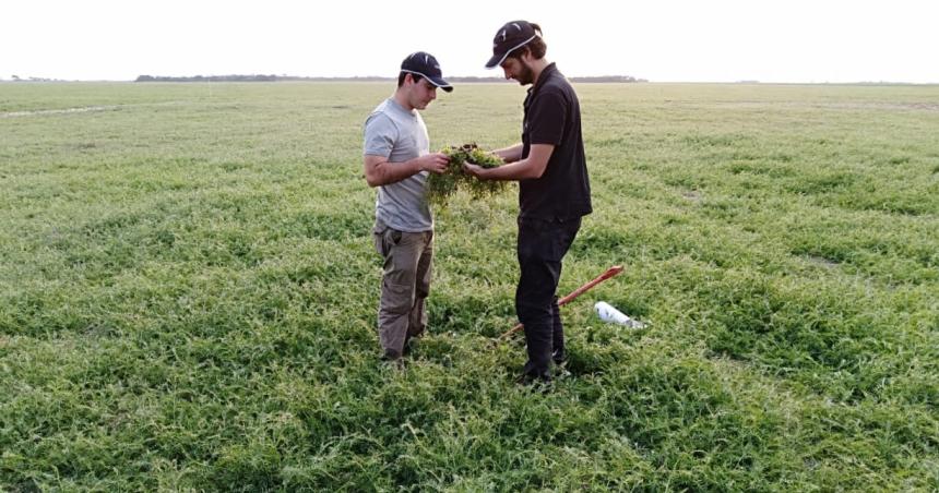 Soja energiacutea solar y mineriacutea invisible- el valor oculto del campo argentino 