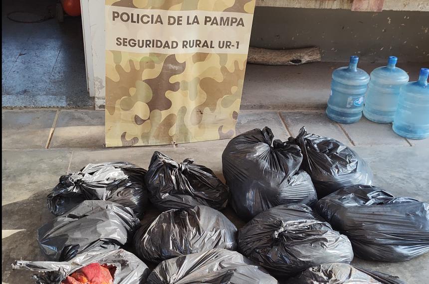 Secuestran 300 kilos de carne de caballo en una carniceriacutea clandestina