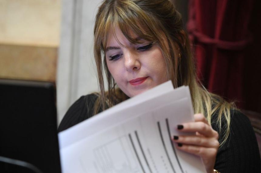 Huala defendioacute su voto en el Senado y dijo que la Justicia debe investigar el caso LIBRA