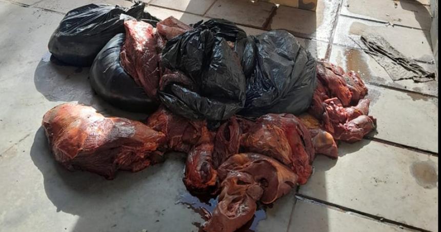 Secuestran carne equina en Toay por infraccioacuten a la ley provincial