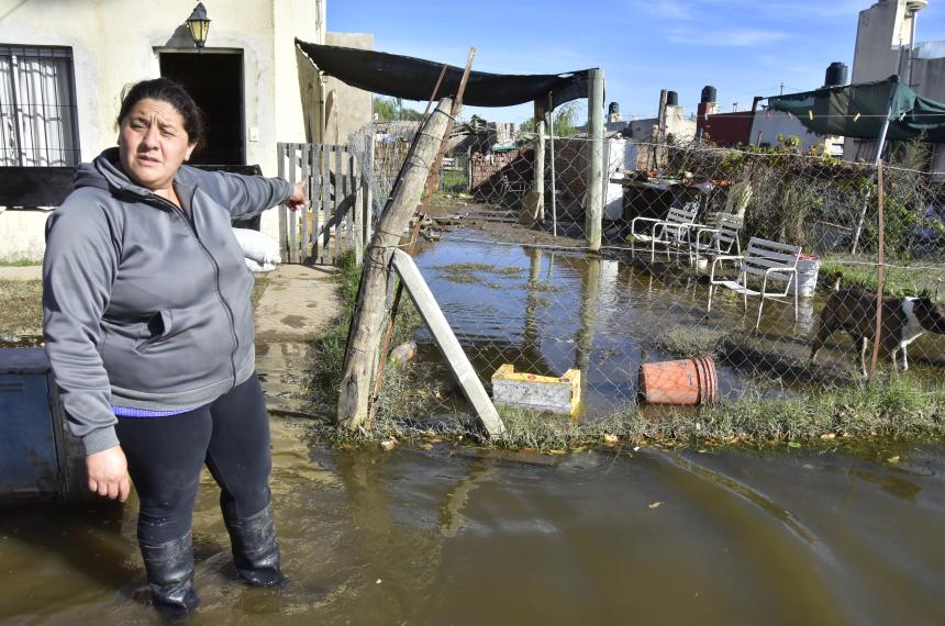 Erradicacioacuten del Almafuerte- estaacute en marcha con un 75-en-porciento- de avance