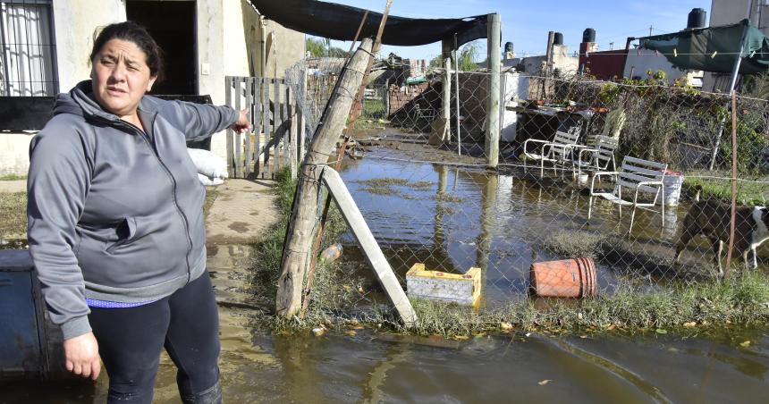 Erradicacioacuten del Almafuerte- estaacute en marcha con un 75-en-porciento- de avance