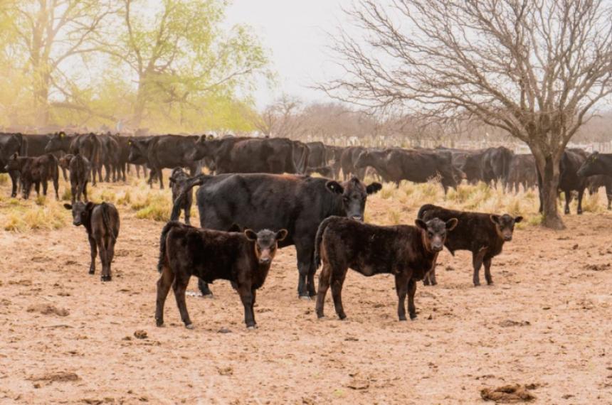 Al fin Nacioacuten homologoacute la emergencia agropecuaria 