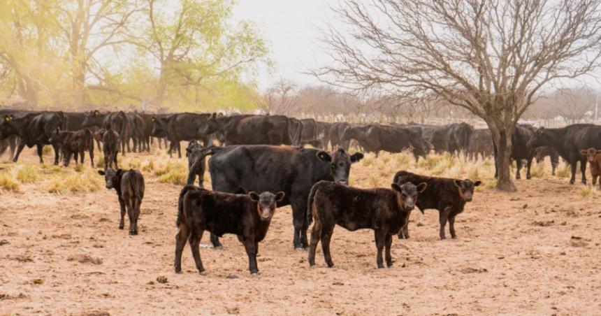 Al fin Nacioacuten homologoacute la emergencia agropecuaria 