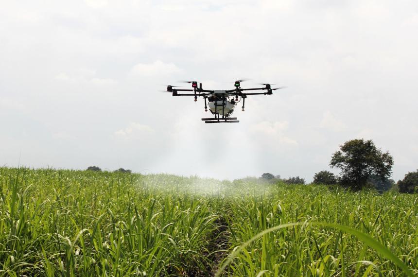 Innovacioacuten y rentabilidad- coacutemo elegir la tecnologiacutea justa para el agro