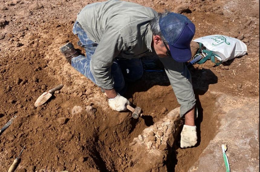 Luego de las abundantes lluvias rescatan foacutesiles en el Bajo Atreucoacute