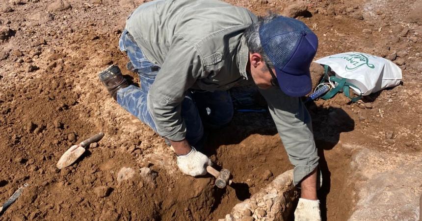 Luego de las abundantes lluvias rescatan foacutesiles en el Bajo Atreucoacute