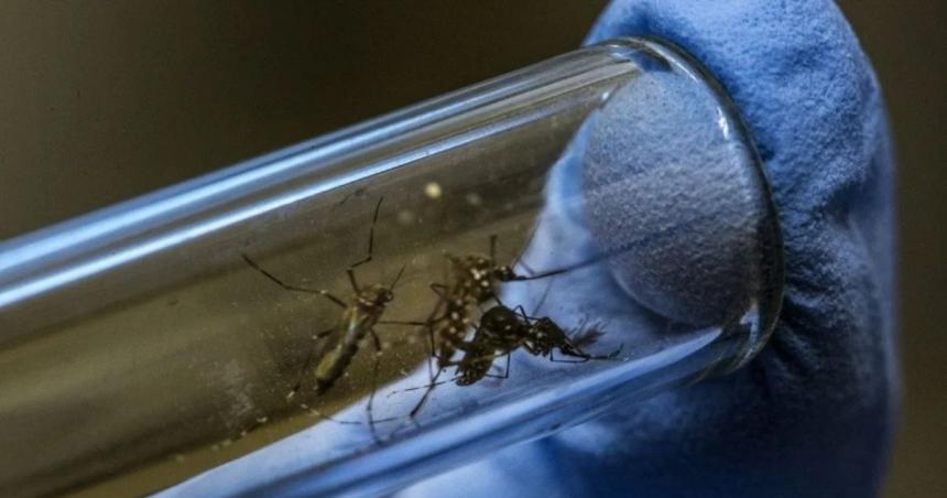 La Pampa ya suma 55 casos de dengue en lo que va del antildeo