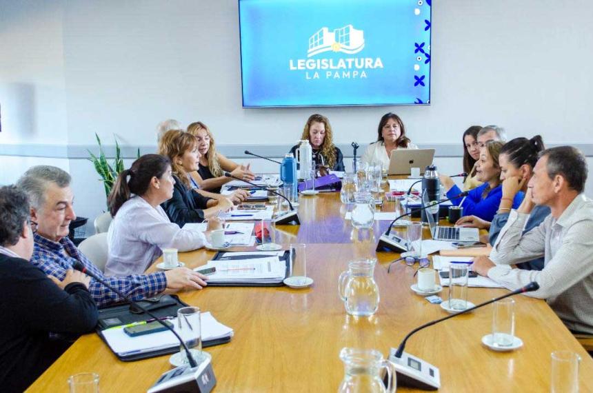 Legislatura Pampeana aproboacute varios proyectos en comisiones y reconocioacute a talentos locales