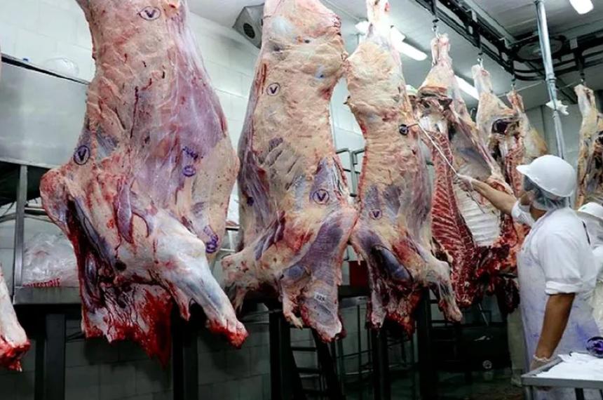 Barrera- ahora el Gobierno de Neuqueacuten dice que tiene un plan para bajar el precio de la carne